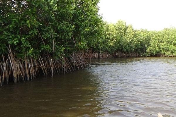 Unlocking Sustainable Change: A Journey to Empower Communities and Preserve Nature
