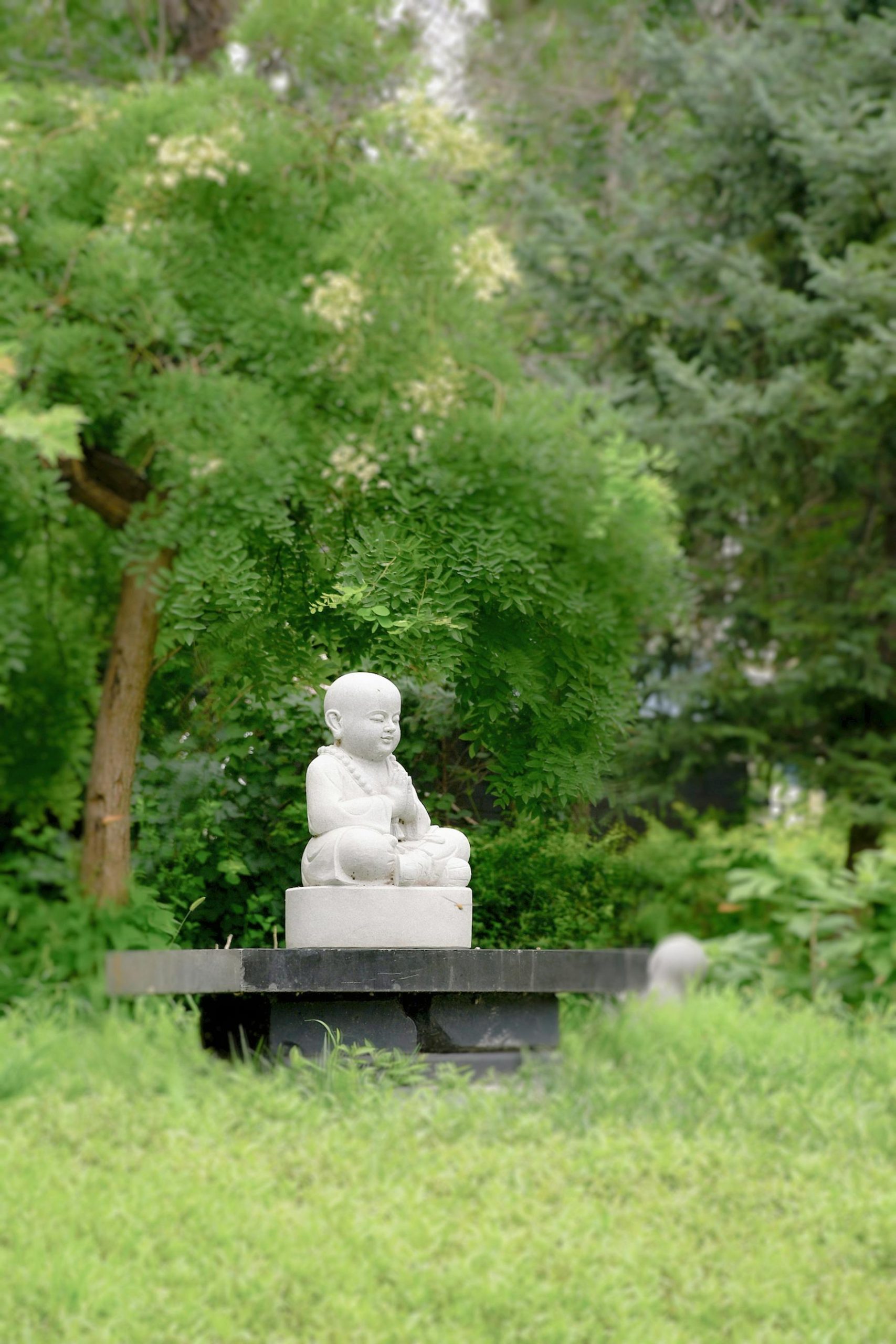 The Healing Power of Forgiveness: Free Your Heart and Reclaim Your Peace