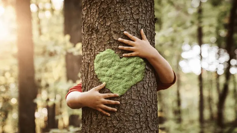 The Power of Nature: Finding Wisdom and Resilience in the Natural World