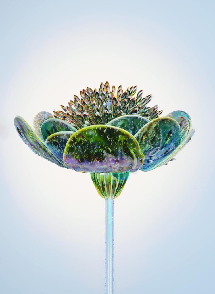 Embracing the Shift: A Journey from 3D to 5D Consciousness